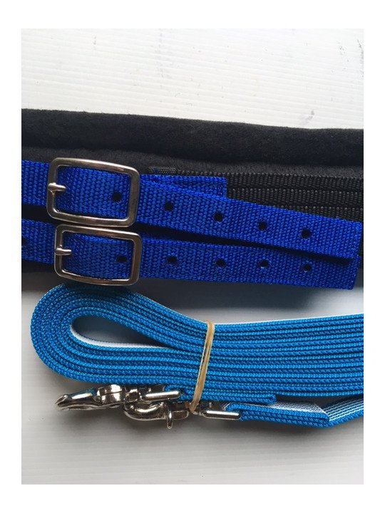 Longues Rênes Shet Pony Blue 8 m