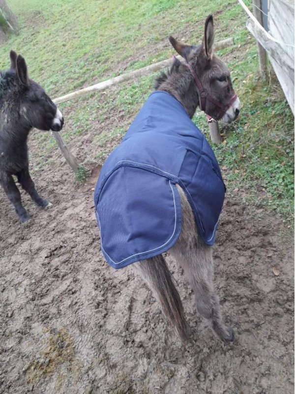 Couverture Imperméable 150 g Poney Shet et Mini 1200 D