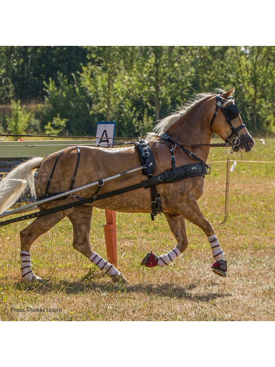 Harnais ZGB Zilco En simple Cheval de Trait