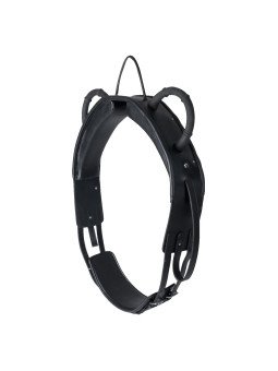 Surfaix De Voltige Waldhausen Cheval Et Trait