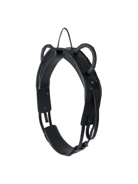 Surfaix De Voltige Waldhausen Cheval Et Trait