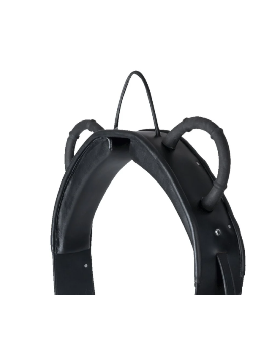 Surfaix De Voltige Waldhausen Cheval Et Trait