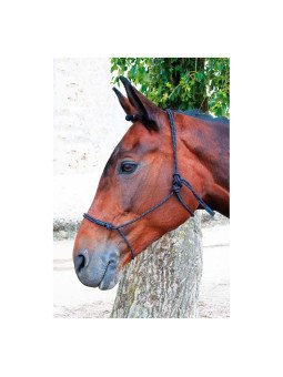 Promo Licol Ethologique Pro T de T Pro Cheval