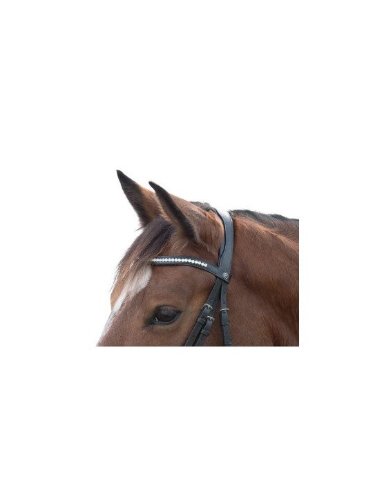 Bridon Nizza Cheval Et Trait