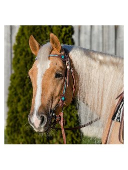 Bridon Western Turkis