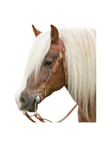 Bridon Western Cheval de Trait Big Horse