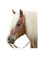 Bridon Western Cheval de Trait Big Horse
