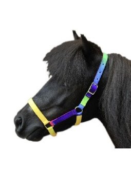 Licol Shetland Multicolor