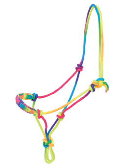 Licol Ethologique Rainbow