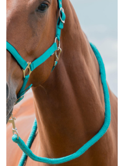 Licol Longe XL Grand Cheval Petit Trait Turquoise