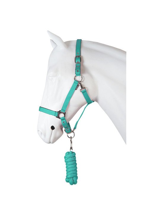 Licol Longe XL Grand Cheval Petit Trait Turquoise