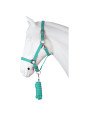 Licol Longe XL Grand Cheval Petit Trait Turquoise
