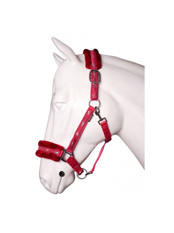 Licol XL Grand Cheval Trait Plush