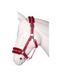 Licol XL Grand Cheval Trait Plush