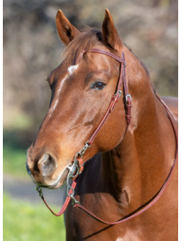 Bridon Western Wide Trait