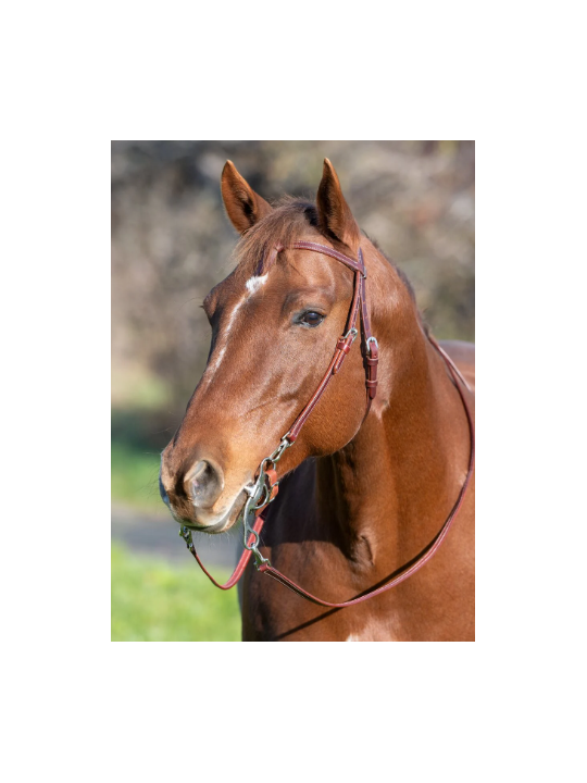 Bridon Western Wide Trait