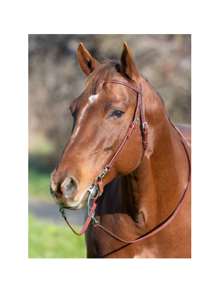 Bridon Western Wide Trait