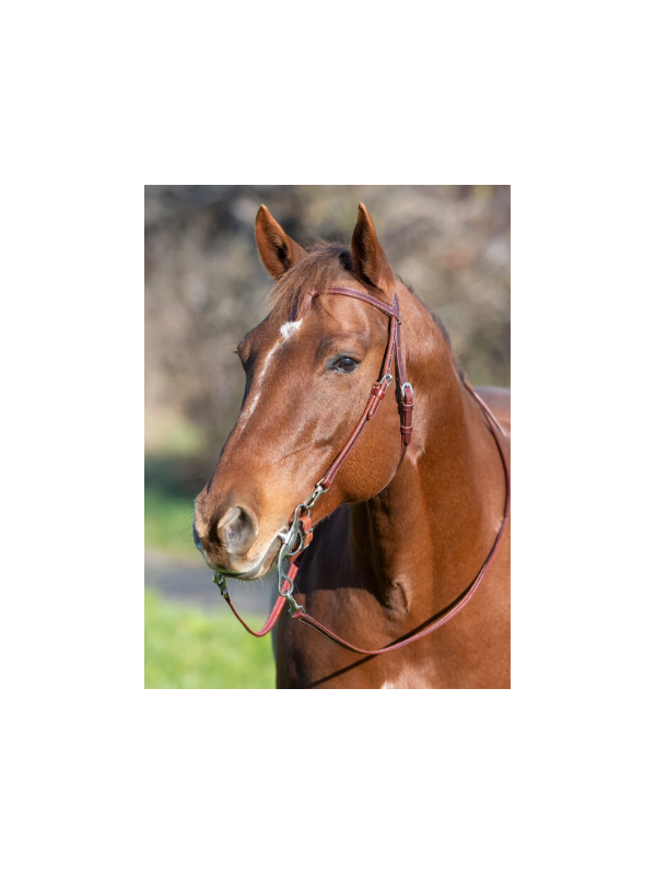 Bridon Western Wide Trait