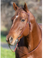 Bridon Western Wide Trait