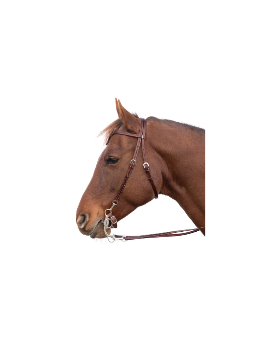 Bridon Western Wide Trait
