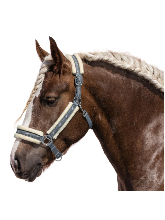 Licol Trait Doublé Mouton Little Horses XXL