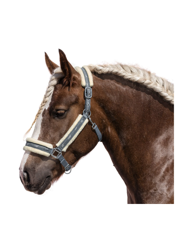 Licol Trait Doublé Mouton Little Horses XXL