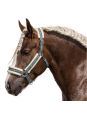 Licol Trait Doublé Mouton Little Horses XXL