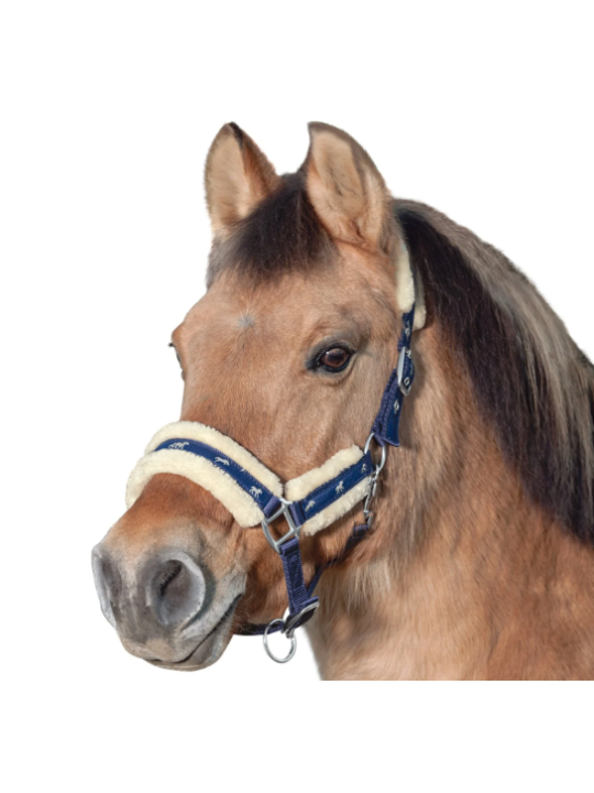 Licol Trait Doublé Mouton Little Horses XXL