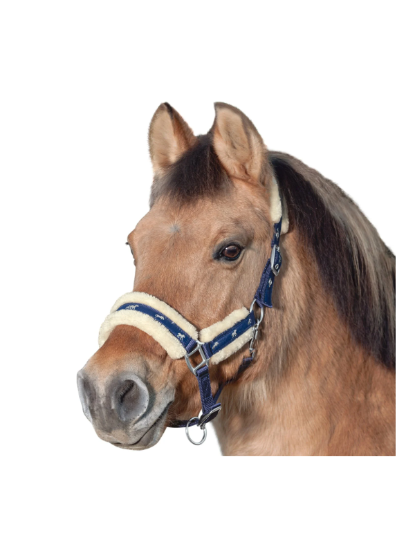 Licol Trait Doublé Mouton Little Horses XXL