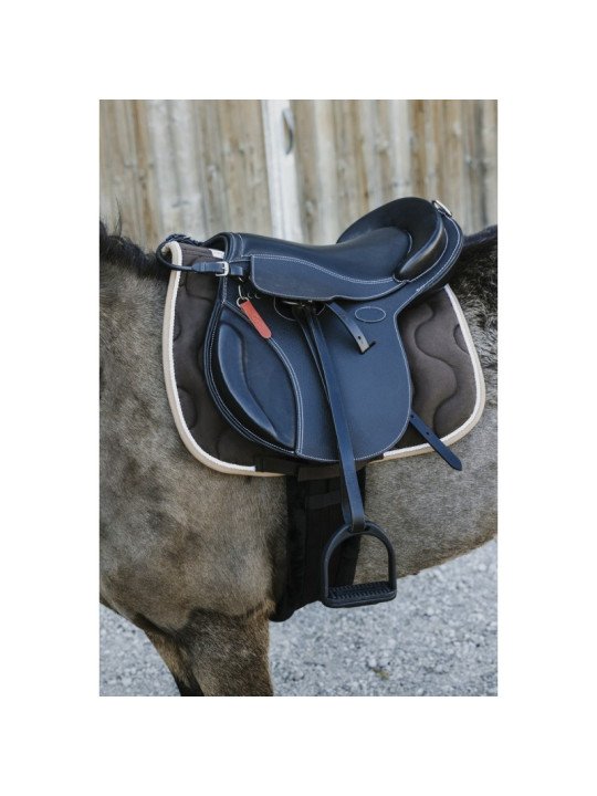Promo Selle Guy Cantin Evolution Jumping 14.5
