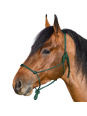 Licol Ethologique Cheval De Trait