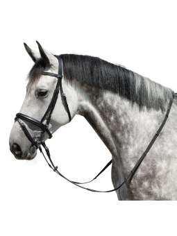 Bridon Cuir Petit Trait Odense