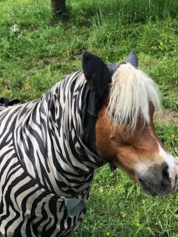 Promo Couverture Anti Eczéma Zebra 85 - 115