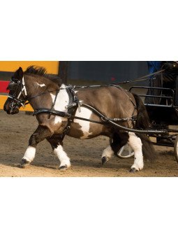 Harnais SL Dossière Coulissante