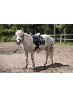 Selle Pour Shetland Lucie Avec Licol et longe