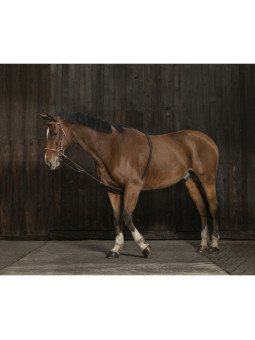 Enrênement Extenseur Doux Norton Cheval