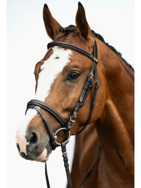 Bridon Cuir Trait Jana XL