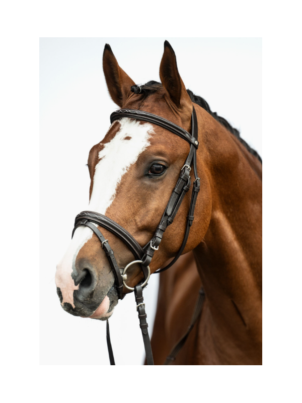 Bridon Cuir Trait Jana XL
