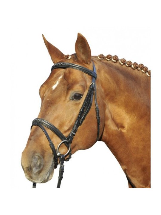 Bridon Cuir Trait Jana XL