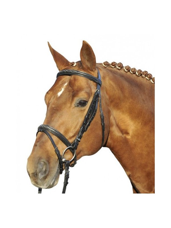 Bridon Cuir Trait Jana XL