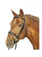 Bridon Cuir Trait Jana XL