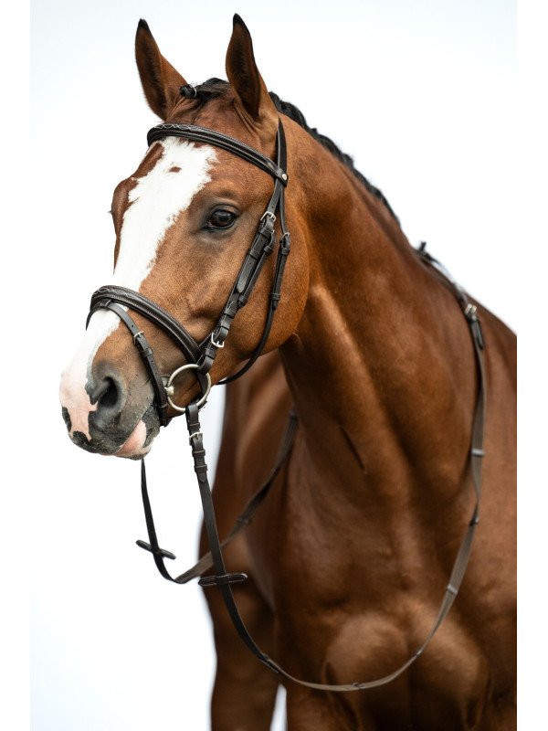 Bridon Cuir Trait Jana XL
