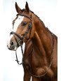 Bridon Cuir Trait Jana XL