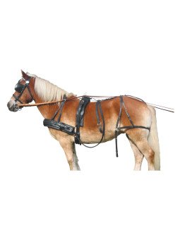 Harnais A Bricole Trait Convertible En Paire