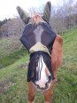 Masque Anti Mouche Irish XXL Avec Franges