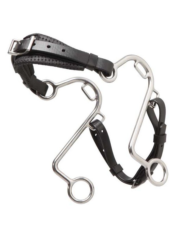 Hackamore en S Zilco