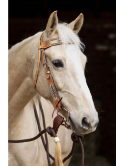 Bridon Western XL Trait Navajo