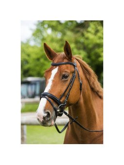 BRIDON NORTON LUXE ANATOMIQUE