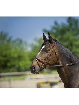 BRIDON ERIC THOMAS NEW WAVE