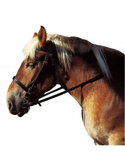 BRIDON CORTINA CHEVAL DE TRAIT